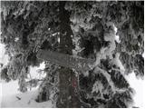 Kranjski Rak - Chapel of Marija Snežna (Velika planina)